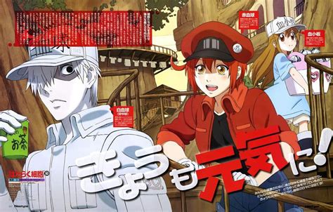Hataraku Saibou Sub Indo : Episode 1 .